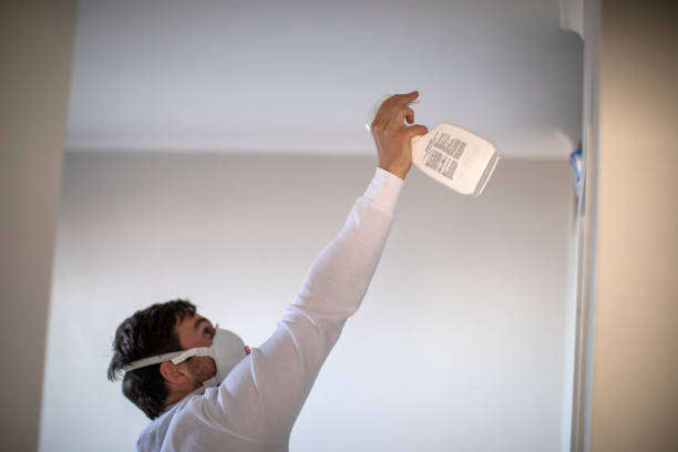 Best Toxic Mold Removal  in Buchanan, MI