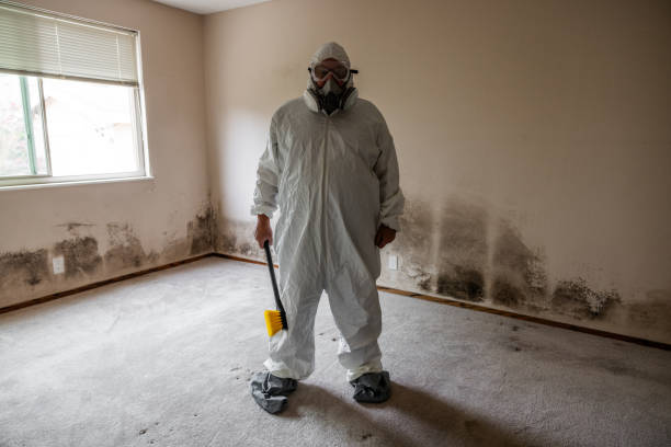 Best Residential Mold Removal  in Buchanan, MI