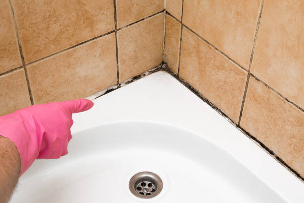 Best Mold Testing  in Buchanan, MI